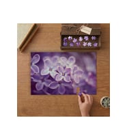 Yakın Çekim Leyl.. Çiçeği Tasarımı 240 parça Ahşap Puzzle Ahşap Kutuda MP03529
