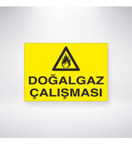 Doğalgaz Çalışması