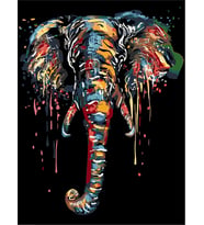 Fil Dişi Sayılarla Boyama Seti 50x65 cm (Tuvale Gerili)