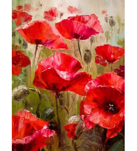 Gelincik Sayılarla Boyama Seti 40x50 cm (Tuvale Gerili)