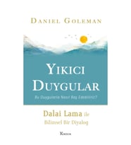 Yıkıcı Duygular