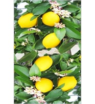 Eliana Home Baskılı, Yıkanabilir Kaymaz Taban Mutfak Halısı LNA2075 100x150 cm (Bej)