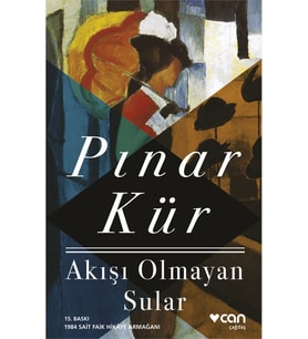 Akışı Olmayan Sular