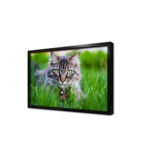 Kedi Çerçeveli Mdf Tablo