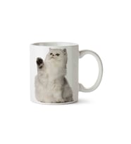 Cat British Kedi Coon Ragdoll Cat Porselen Kupa Bardak