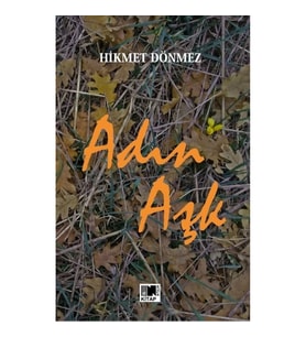 Adın Aşk