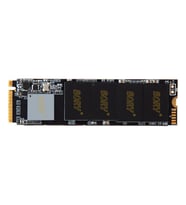 Bory NV890 1TB (2100/1600MB/s) M.2 2280 PCIe 3.0 NVMe SSD (Siyah)