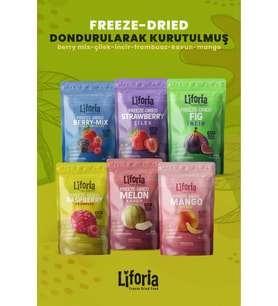 6’lı Dondurulmuş Meyve - Sağlıklı Atıştırmalık - Mango Berry Mix İncir Kavun Çilek Frambuaz