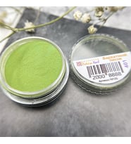 Açık Yeşil Akrilik Toz #401 5 Gr - Protez Tırnak ve Nail Art İçin Profesyonel Renkli Akrilik Pudra
