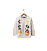 Erkek Çocuk Bisiklet Yaka Karekter Baskılı Sweatshirt (Gri)