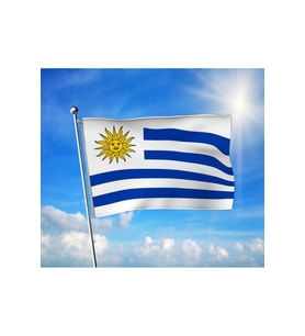 Uruguay Bayrağı Premium Raşel Kumaş 100x150 cm