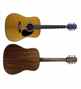 Shadow JMS-50 NS Akustik Gitar (Taşıma Çantası Hediyeli)