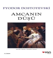 Amcanın Düşü