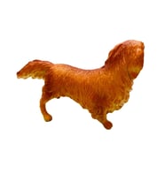 Köpekler - Collie Cinsi Köpek - 1 ADET