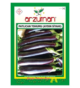 Patlıcan Tohumu(Aydın Siyahı)