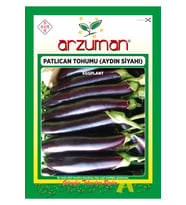 Patlıcan Tohumu(Aydın Siyahı)