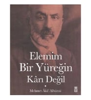 Elemim Bir Yüreğin Karı Değil