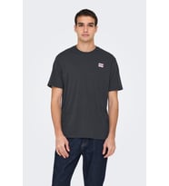 ONLY & SONS ONSDAWSON Erkek Regular Fit Kısa Kollu T-Shirt  Günlük Kullanım (Antrasit)