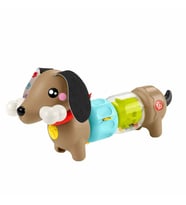 Fisher-Price Köpekçikle Eğlenceli Aktiviteler HTW91