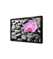 Spa Taşları ve Orkide Çerçeveli Cam Tablo