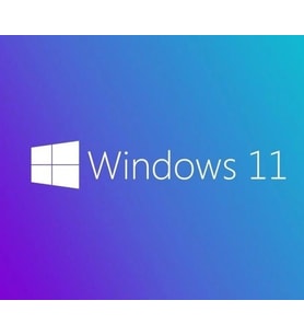 MS WINDOWS 11 PRO 64 BIT TURKCE OEM FQC-10556