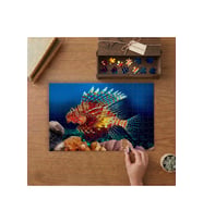 Renkli Aslan Balığı Tasarımı 240 parça Ahşap Puzzle Ahşap Kutuda MP08322