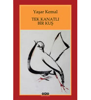 Tek Kanatlı Bir Kuş