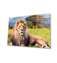  Aslan Hayvan Cam Tablo 4mm Dayanıklı Temperli Cam (Çok Renkli)