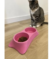 İkili Model Beton Kedi Köpek Mama ve Su Kabı (24cm × 12cm × 5cm) - Pembe