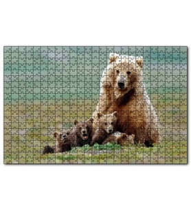 Cakapuzzle Çayırda Anne Boz Ayı ve Sevimli Yavruları Puzzle Yapboz MDF (Ahşap) (120 Parça)