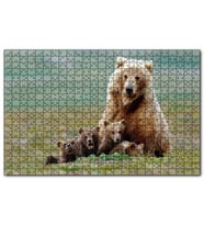 Cakapuzzle Çayırda Anne Boz Ayı ve Sevimli Yavruları Puzzle Yapboz MDF (Ahşap) (120 Parça)