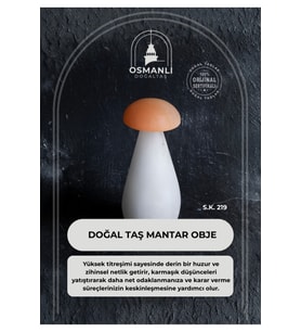 Doğal Taş Mantar Obje (S.K. 219)