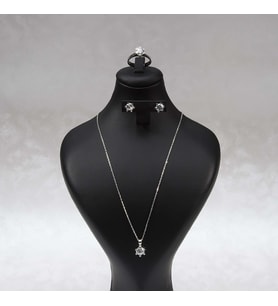 602 Zirkon Gümüş Set