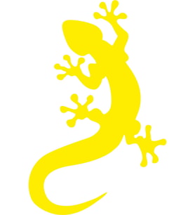 Kertenkele Tasarım Oto Sticker Sarı 15*10 Cm