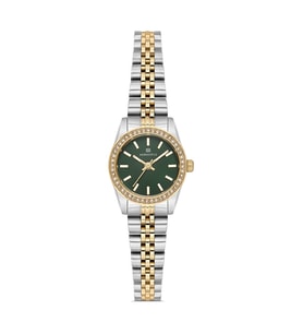 MOMENTUS SW262T-15SG KADIN KOL SAATİ