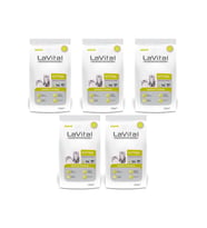 Lavital Somon Balıklı Yavru Kedi Maması 1,5 Kg*5 Adet (Kahverengi)
