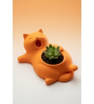 MYCRAFT3D Sevimli Kedi Saksı  Dekoratif Kedi Figürlü Çiçeklik  Masa Üstü Dekoratif Saksı  Mini Doğal Yaşam Alanı