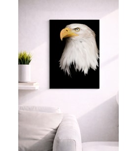 EAGLE30 TASARIM MDF TABLO (27X18)