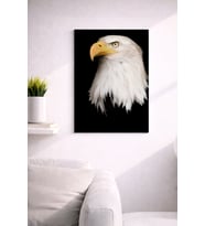 EAGLE30 TASARIM MDF TABLO (27X18)