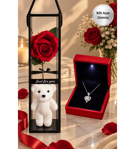Kırmızı Gül ve Ayıcıklı Hediye Kutusu 925 Ayar Gümüş Taşlı Kalp Kolye Işıklı Kutuda Sevgiliye Hediye