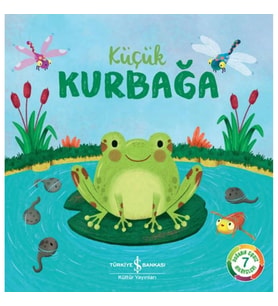 Küçük Kurbağa