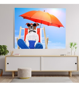 Güneşlenen Köpek Temalı Kanvas Tablo