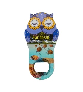 Karayipler Temalı Baykuş Magnet Kapak Açacak (Karışık)
