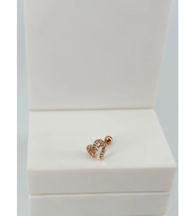 Tragus Kıkırdak Küpesi