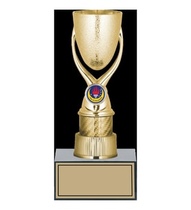 ODAK KUPA - Genel Kupalar - GN-146 C - 24 cm