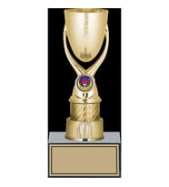 ODAK KUPA - Genel Kupalar - GN-146 C - 24 cm