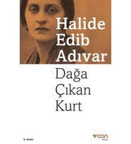 Dağa Çıkan Kurt