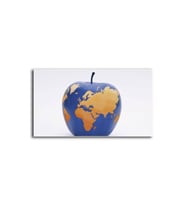 DBSanatevi Elma Şeklinde Dünya Tablo 40 X 60 Cm