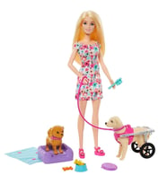 Barbie ve Engelli Köpeği Oyun Seti HTK37