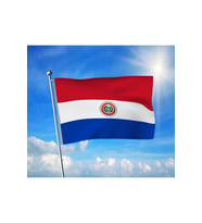 Paraguay Bayrağı Premium Raşel Kumaş 70x105 cm